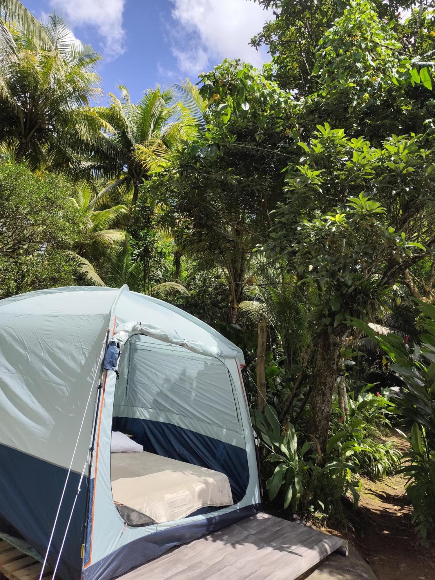 Camping A La Ferme Gros-Morne المظهر الخارجي الصورة