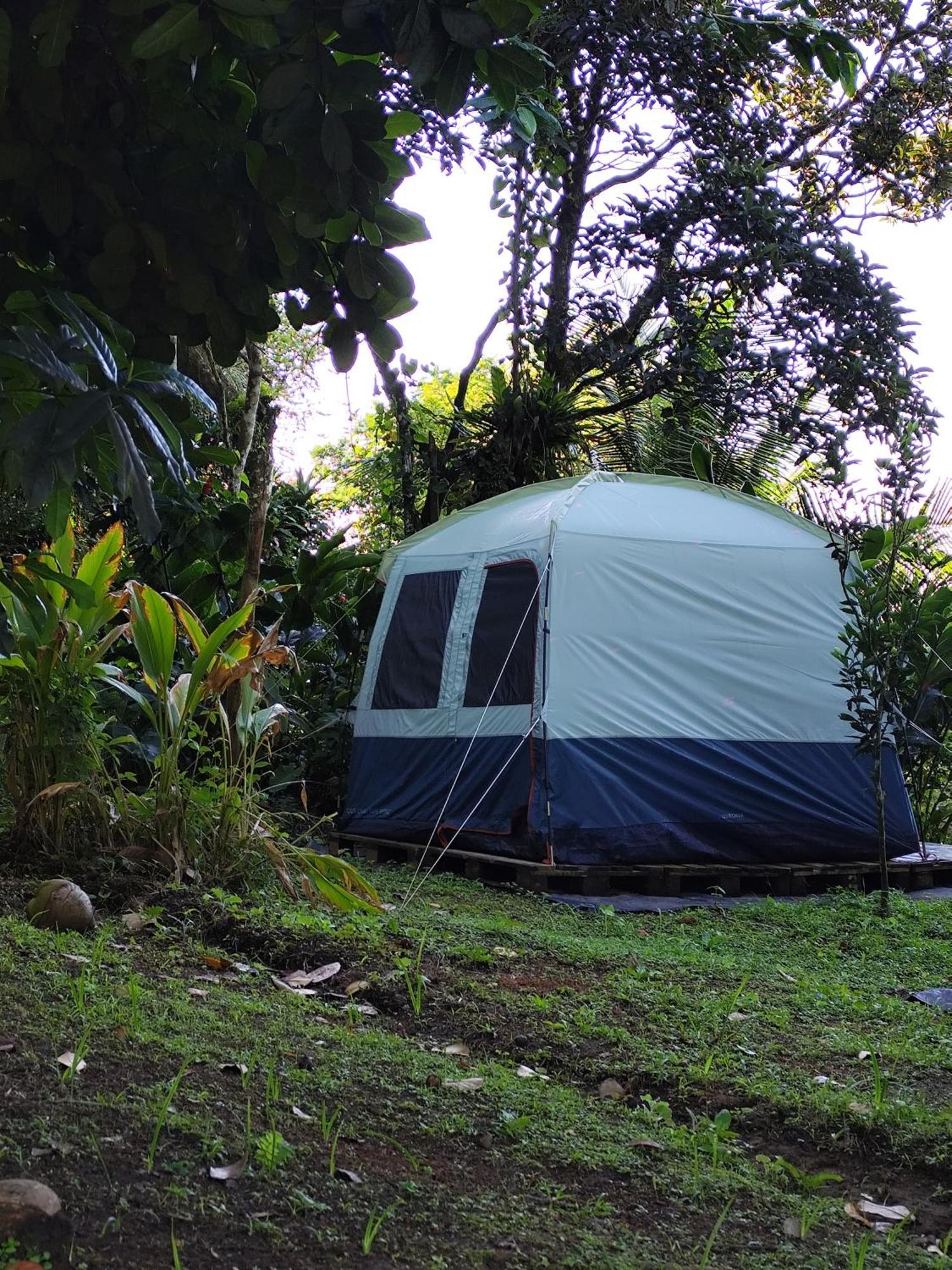 Camping A La Ferme Gros-Morne المظهر الخارجي الصورة